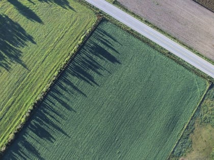 50 миллионов рублей получит Владимирская область на работы по мелиорации земель