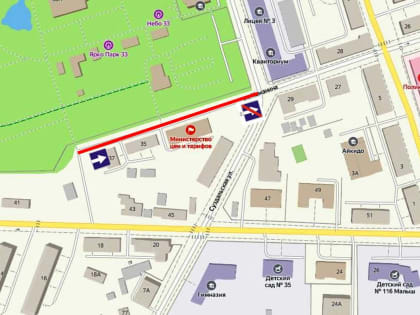 ОБ ОРГАНИЗАЦИИ ДОРОЖНОГО ДВИЖЕНИЯ ПО УЛ. КАМАНИНА