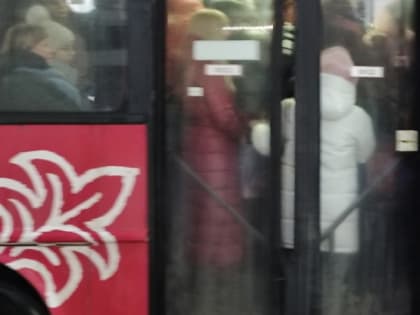 Во Владимире для двух автобусных маршрутов ищут нового перевозчика