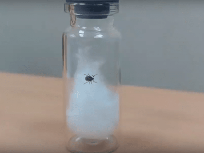 Метан – топливо будущего