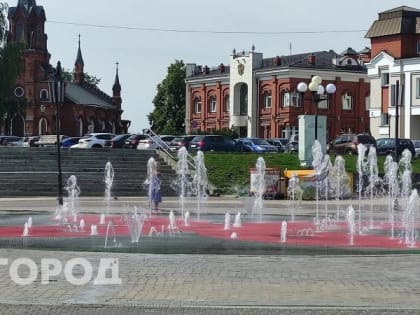 В 2023 году более 4000 владимирцев получили повышенную пенсию за работу в сельском хозяйстве