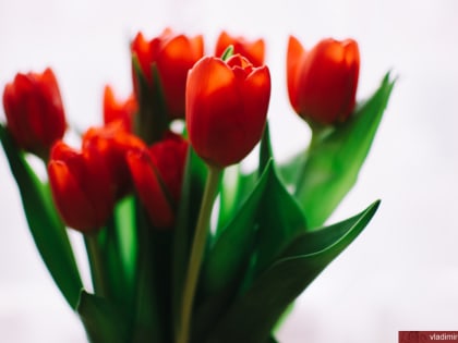 С днем 8 марта!