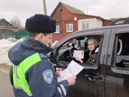 Госавтоинспекторы провели акцию «В детское кресло посадил – жизнь ребенка сохранил!»