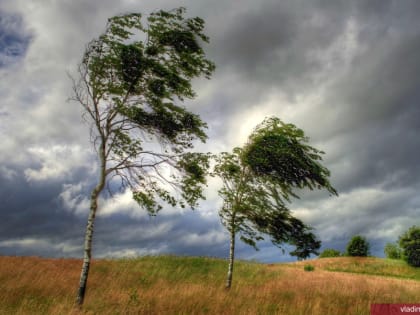 Прогнозируются опасные метеорологические явления