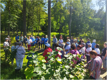 Фестиваль по скандинавской ходьбе: спортивно, активно, позитивно!