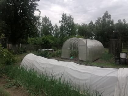 Вторая половина октября: что нас ждет?