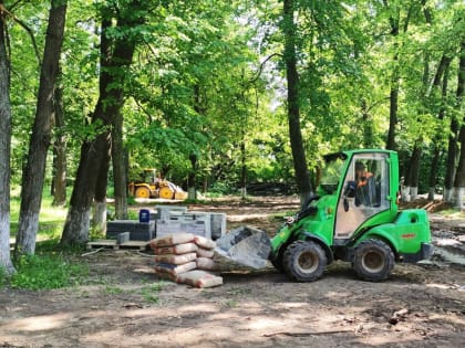 Аллеи обретут вторую жизнь