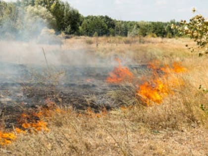 Во Владимирской области отменили особый противопожарный режим