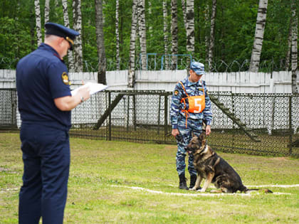 В УФСИН России по Владимирской области состоялись соревнования среди специалистов-кинологов исправительных учреждений Владимирской области