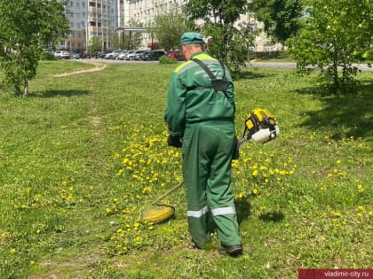 Районные МКУ «Благоустройство» ведут работы по покосу травы на общественных пространствах Владимира