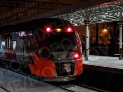 Владимирская транспрокуратура начала проверку обстоятельств задержки «Ласточки». Более часа люди провели на 30-градусном морозе