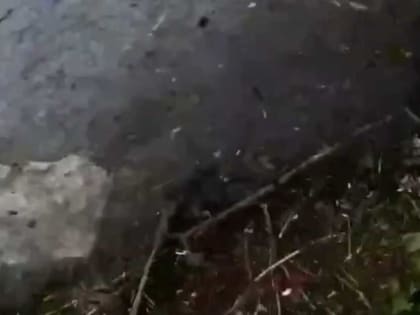 В Сеть опубликованы снятые солдатом ВСУ кадры удара РСЗО по его подразделению