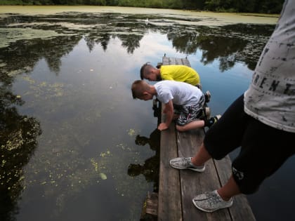 Муниципалитеты Владимирской области продолжат очищать противопожарные водоёмы