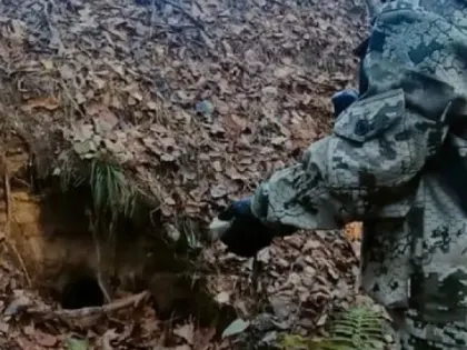 Борьба с бешенством в охотничьих угодьях Владимирской области