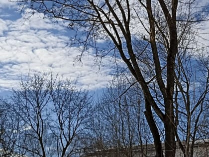 Во Владимире на 7,5 часов перекроют улицу Батурина