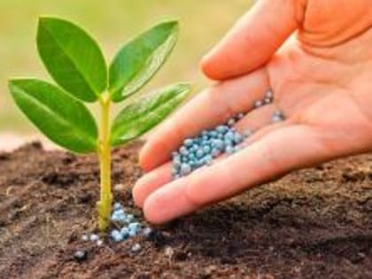 В Костромской области проведены профилактические визиты, направленные на недопущение нарушений