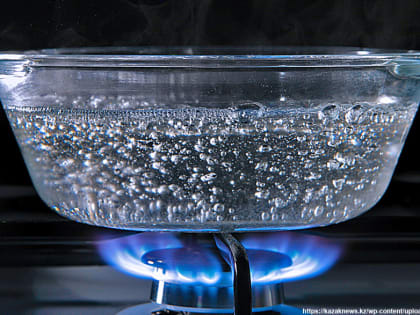 Насущные проблемы жителей 33-го региона