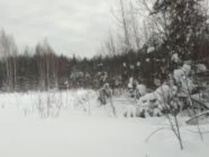 В Костромской области выявлено 5 зарастающих земельных участков сельскохозяйственного назначения