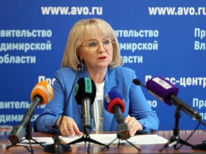 Во Владимирской области на социальную поддержку семей с детьми в 2024 году будет направлено 3,1 млрд рублей