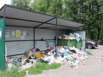 Город опять зарастает мусором