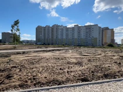 Проблемы благоустройства общественных пространств во Владимире