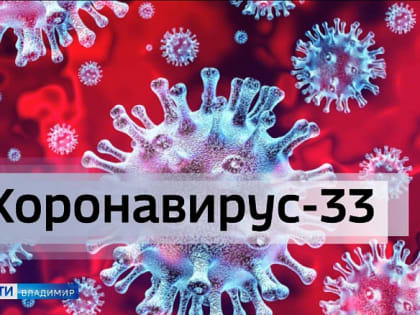 Во Владимирской области подтвердились 9 новых случаев заболевания коронавирусом