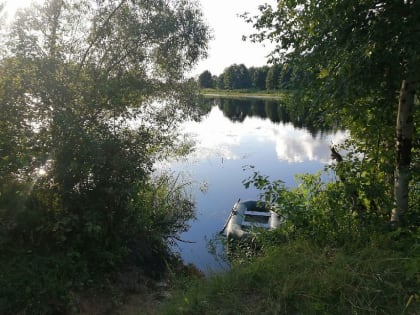 Во Владимирской области на озере Рассохино утонула женщина