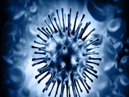 Как уберечься от вирусных инфекций?