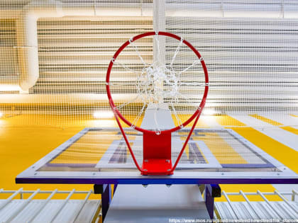 На какие спортивные объекты губернатор Владимирской области выделил больше 300 миллионов рублей?