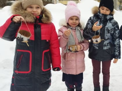 Зимующие птицы Владимирского края