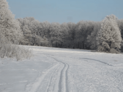 Владимирцы собирают подписи против застройки луговой зоны парка "Дружба"
