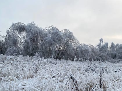 Итоги конкурсов за каникулярный период