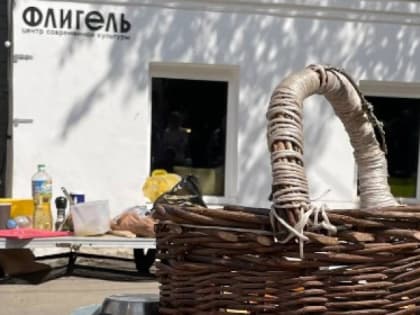 Улицу Девическую во Владимире снова предлагают сделать пешеходной