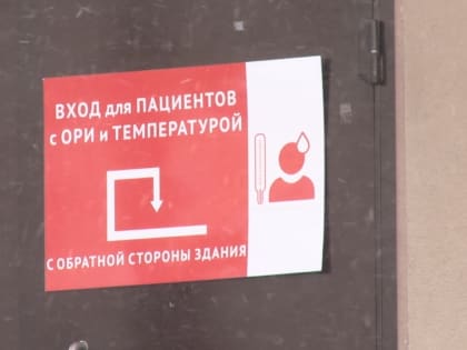 Во Владимирской области из-за гриппа и ОРВИ за медпомощью в поликлиники обратились больше 10 тысяч человек