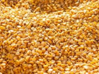 Сотрудники Управления Россельхознадзора выявили признаки недостоверного декларирования  кукурузы, поступившей в Костромскую область
