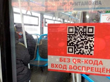 Во Владимирской области QR-коды в общественном транспорте вводить не будут