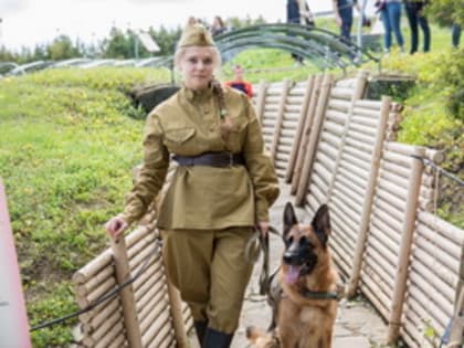 Музей Победы предложил юным жителям Владимирской области написать рассказы о верных друзьях