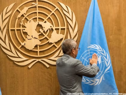 Военная прокуратура Владимирской области потребовала заблокировать новостной сайт ООН