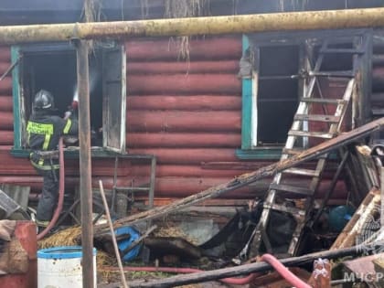 Трагедия в Пригородном: Пожар унес жизни пожилой пары