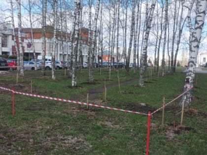 20 апреля во Владимире в рамках месячника благоустройства проходит общегородской субботник