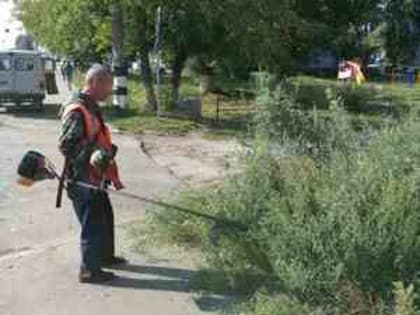 Обновление дорожной инфраструктуры в Коврове