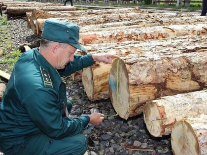 Владимирские таможенники пресекли контрабанду в Грузию на 1,7 миллиона рублей