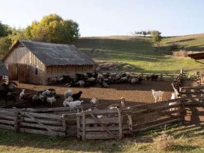 Во Владимирской области сократилось число индивидуальных предпринимателей