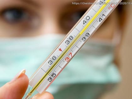 Во Владимирской области зафиксирована новая вспышка ОРВИ