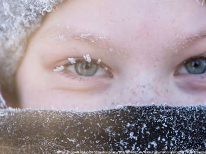 Учёба в морозы: решения о посещении детьми школ и детских садов принимаются родителями самостоятельно