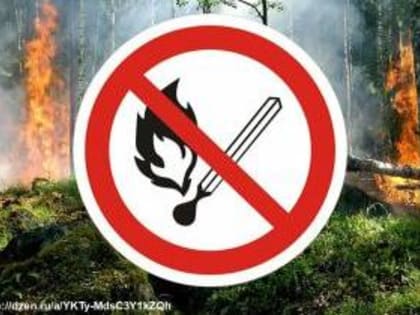 Установлен особый противопожарный режим