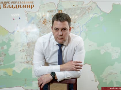 Александр Авдеев и Дмитрий Наумов обсудили на федеральном уровне строительство второго моста через Клязьму