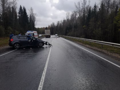 Во Владимирской области за неделю в ДТП 4 человека погибли и 37 получили ранения