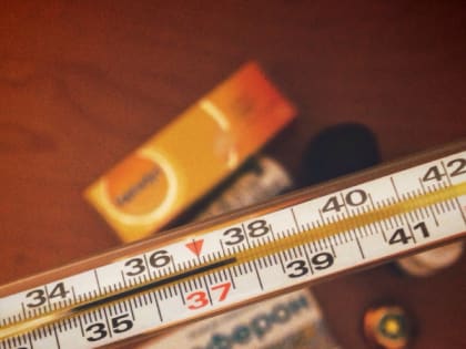 Рост заболеваемости ОРВИ во Владимирской области