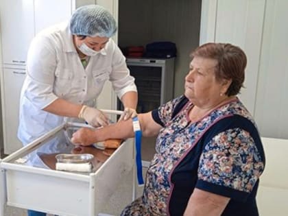 Благодаря нацпроекту «Здравоохранение» в Меленковском районе открылся новый ФАП